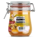 OstroVit Natural Multiflower Honey - Натурален многоцветен мед