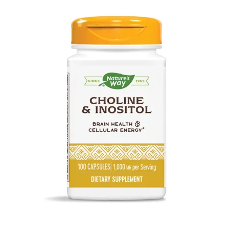 Nature's Way Choline & Inositol от Ready for Life
