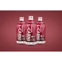 Allnutrition L-Carni Concentrate + Green Tea - Течен Л-Карнитин