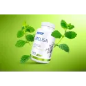 SFD Lemon Balm (Melisa)  - Маточина