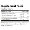 21st Century Coral Calcium 1000mg - Корал Калций