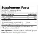 21st Century Echinacea Complex 250mg - Ехинацея
