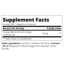 21st Century Ginkgo Biloba Extract - Гинко Билоба
