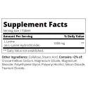 21st Century L-Lysine 1000mg - Л-Лизин
