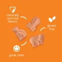 21st Century Zoo Friends Multi + Extra C Chewable - Мултивитамини за Деца