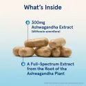 Jarrow Formulas Ashwagandha 300mg - Ашваганда