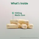 Jarrow Formulas Mastic Gum - Мастиха