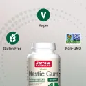 Jarrow Formulas Mastic Gum - Мастиха