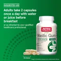 Jarrow Formulas Mastic Gum - Мастиха