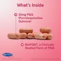 Jarrow Formulas PQQ 20mg - Pyrroloquinoline Quinone