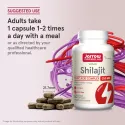 Jarrow Formulas Shilajit Fulvic Acid Complex - Шилажит