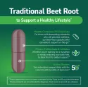 21st Century Beet Root - Цвекло