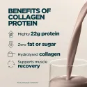 Myprotein Collagen Protein - Колагенов Протеин