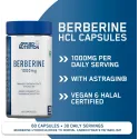Applied Nutrition Berberine 1000mg - Берберин