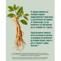21st Century Ashwagandha Extract 500mg - Ашваганда