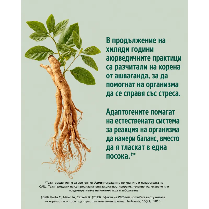 21st Century Ashwagandha Extract 500mg - Ашваганда