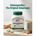 21st Century Ashwagandha Extract 500mg - Ашваганда