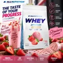 AllNutrition Whey Protein Premium | Суроватъчен Протеин