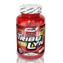 Amix TribuLyn 90% от Ready for Life