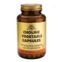 Solgar Choline от Ready for Life