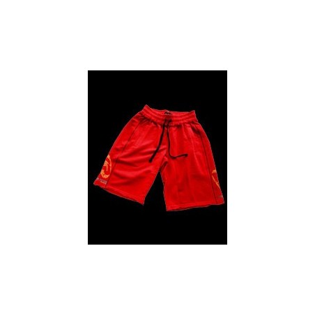 Legal Power Training Shorts от Ready for Life