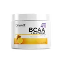Ostrovit BCAA + Glutamine Powder от Ready for Life