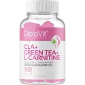 Ostrovit CLA + Green Tea + L-Carnitine от Ready for life